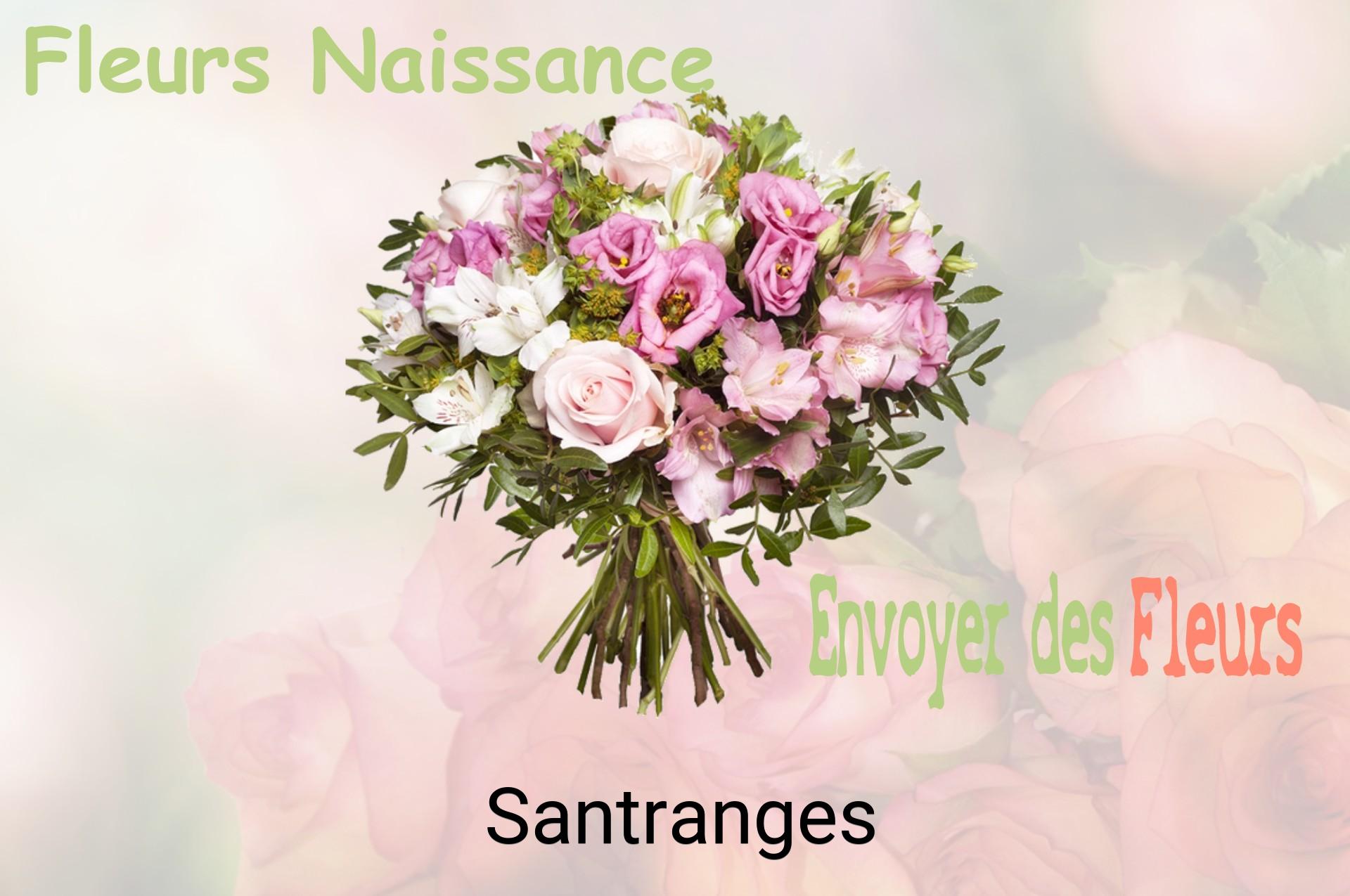 Bouquet de fleurs de naissance livré à Santranges