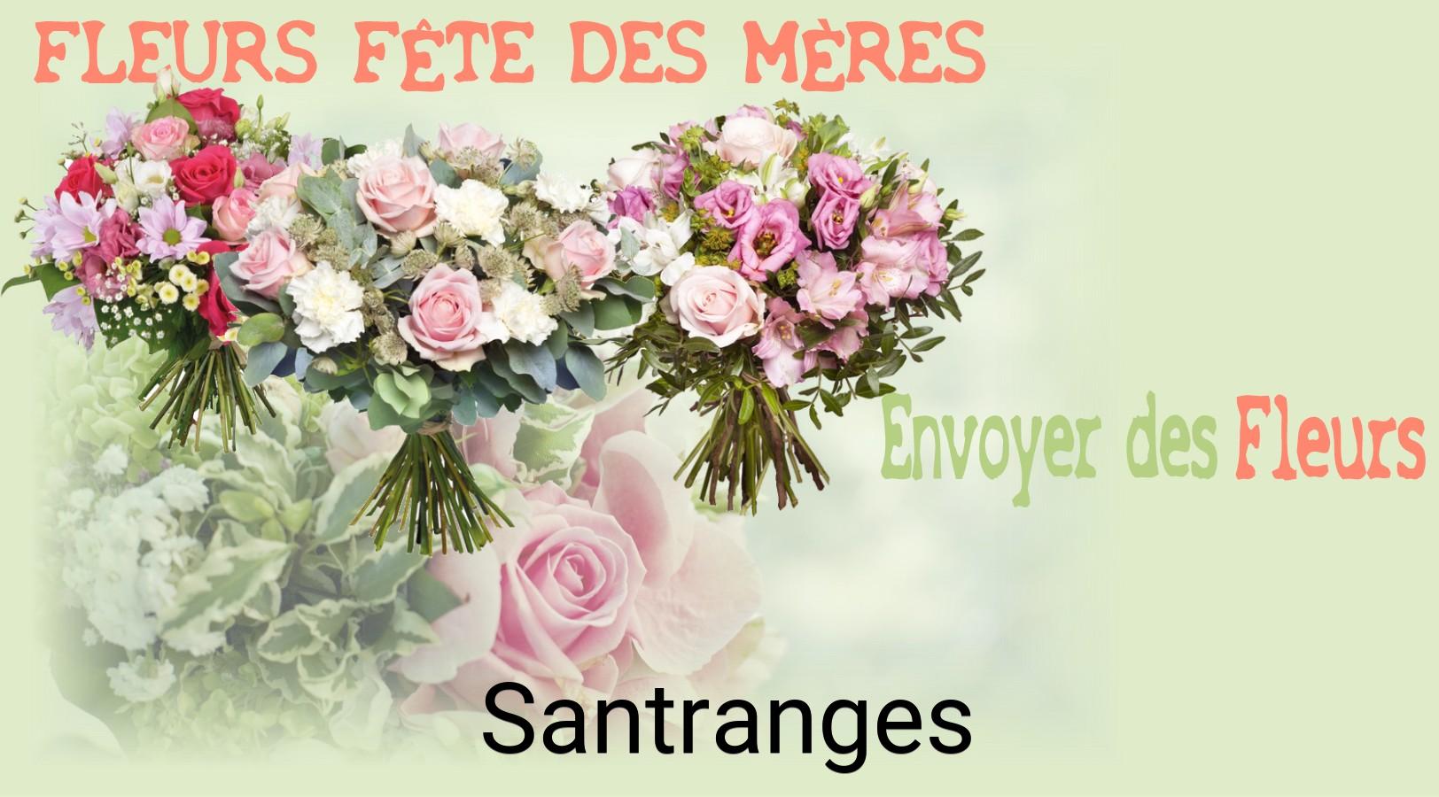 Bouquet de Fête des Mères livré à Santranges